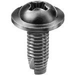 Au-ve-co Products 20680 | License Plate Screw - Hyundai