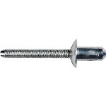Au-ve-co Products 22067 | Ford Specialty Rivet