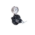 Graco Industrial 241976 | Low Pressure Lightweight Fluid Regulator, 3-30 psi (0.2-2 bar), 0.5 gpm, Acetal, Air, 1/4(f) x 1/4(f), 1/4(f) Port