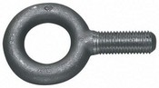 Williams EB-2T | Plain Eye Bolt - 5/16
