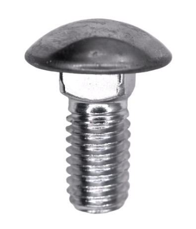 Auveco 8552 | Stainless Steel Capped Round Head Bumper Bolt