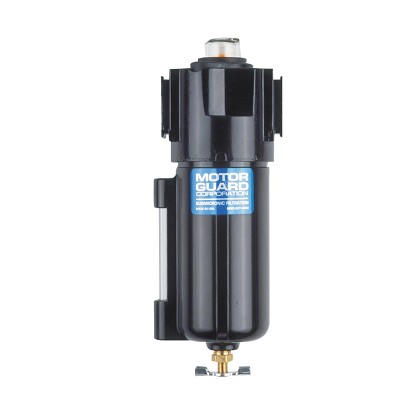 Motor Guard CO4081 | Paint Gun Filters