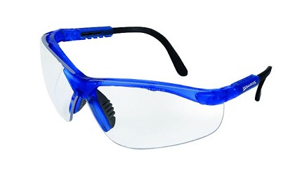 Williams JHWSAFGLAS20B | Safety Glass