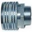 Amflo CP9 | Coupler Plug, Tru-Flate Style, 1/2