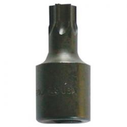 Lisle Corporation 26560 | Bit T-10 Torx Bit Socket
